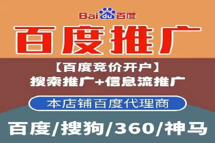 SEM服务案例：打造行业领先品牌